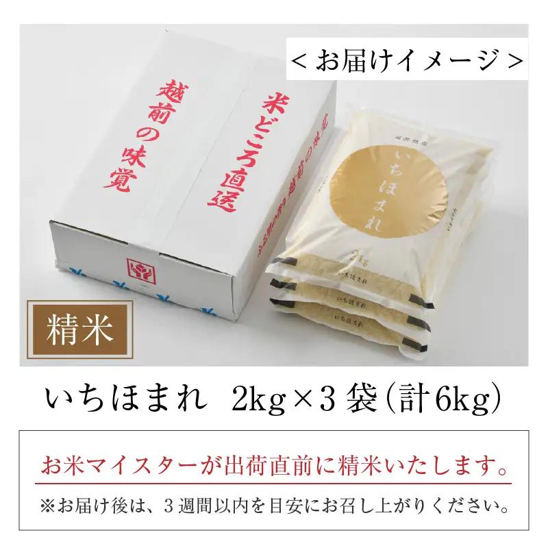 【令和7年産】いちほまれ 精米 2kg×3袋（計6kg）《お米マイスターが発送直前に精米！》／ 福井県産 ブランド米 ご飯 白米 新鮮 [aw064-b011]