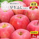 【ふるさと納税】【10月発送】（12.5度糖度保証）贈答用弘前ふじ約5kg【弘前市産・青森りんご】　 果物類 美味しい 採れたて 選りすぐり 高糖度 12.5度 甘さ 驚き 果汁 土壌 肥料 プレセント 　お届け：2024年10月1日～2024年10月31日