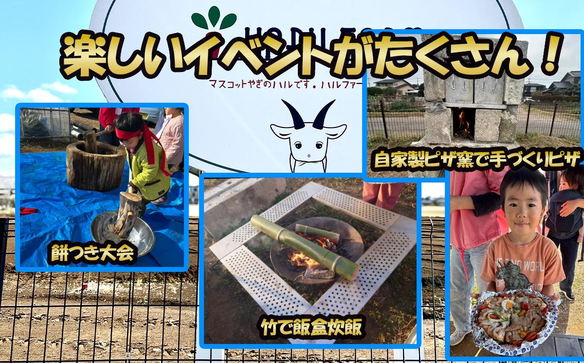 【専用スマホアプリがサポート！】ハルファームの市民農園利用券　(5㎡ 3ヵ月分) 【 茨城県 つくば市 農園 貸農園 貸し農園 農業体験 農業 野菜収穫 体験 野菜体験 チケット 旬野菜 採れたて野菜