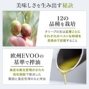 エキストラ バージン オリーブオイル 3本セット 静岡県産 サラダ パスタ ドレッシング 調理 料理 おかず 静岡県 藤枝市 （ｴｷｽﾄﾗﾊﾞｰｼﾞﾝｵﾘｰﾌﾞｵｲﾙ 静岡 ｵﾘｰﾌﾞｵｲﾙ 藤枝ｵﾘ