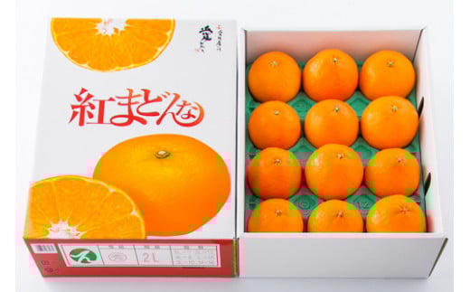 【11月下旬から発送】  紅まどんな【JAえひめ中央】(正規品）赤秀 2Lから4Lサイズ 化粧箱 （ 紅まどんな 柑橘 フルーツ まどんな みかん 愛媛 みかん 紅まどんな 蜜柑 紅まどんな ）