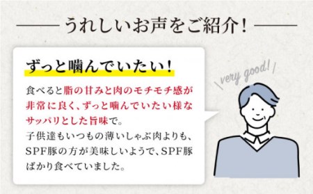 【訳あり】【いつもの鍋がグレードアップ】大西海SPF豚 肩ロース（しゃぶしゃぶ用）計1.3kg（650g×2パック）＜大西海ファーム＞[CEK036]