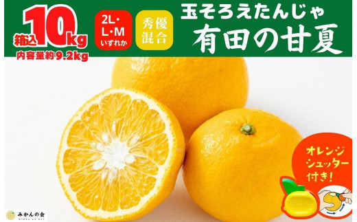 
                  甘夏 玉ぞろい 箱込 10kg ( 内容量約 9.2kg ) 秀品 優品 混合 2L  L M サイズのいずれか 和歌山県 産地直送 ［皮むき器付き］ ［みかんの会］
                