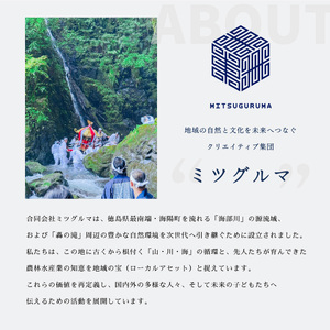 【先行予約】日本晴 白米 10kg 天然にがり栽培 にっぽんばれ 希少 品種 お寿司 ピラフ チャーハン【2026年10月より順次発送】