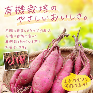 ＜てんとうむしばたけ＞有機さつまいも(紅はるか)5kg