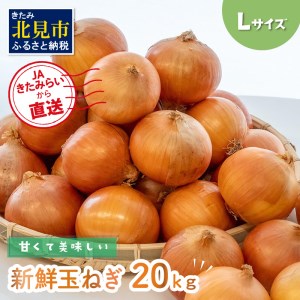 【予約：2025年10月中旬から順次発送】☆日本農業賞大賞受賞☆JAきたみらいから直送する甘くて美味しい新鮮玉ねぎ 20kg Lサイズ ( たまねぎ 野菜 北海道 玉葱 )【104-0008-2025】