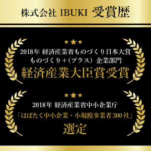 ビアグラス 樹脂製 ビアグラス 1脚 ガラス超え ビアグラス