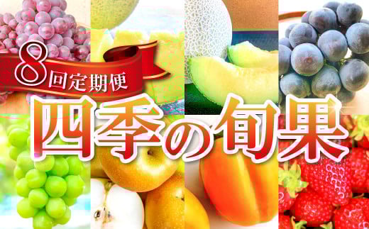 【定期便】益田市四季の旬果定期便 8種【フルーツ 定期便 果物 くだもの 先行予約 期間限定 数量限定 季節限定 早期予約 デラウェア 葡萄 ぶどう ブドウ アムスメロン アールスメロン 巨峰 シャインマスカット 梨 なし 西条柿 いちご 苺 イチゴ】