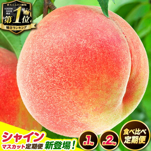 先行予約 桃 もも 和歌山県産 約2kg
