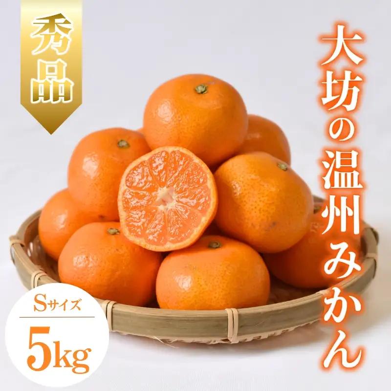 【2027年分先行予約】大坊の温州みかん 5kg（Sサイズ） ※2027年11月中旬～12月下旬頃に順次発送予定【期間限定・数量限定】【ymh016】  