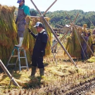 ふるさと納税 三条市 新米 新潟県産コシヒカリ 6kg (1kg×6) 特別栽培米 令和7年産米【020P096】 |  | 02