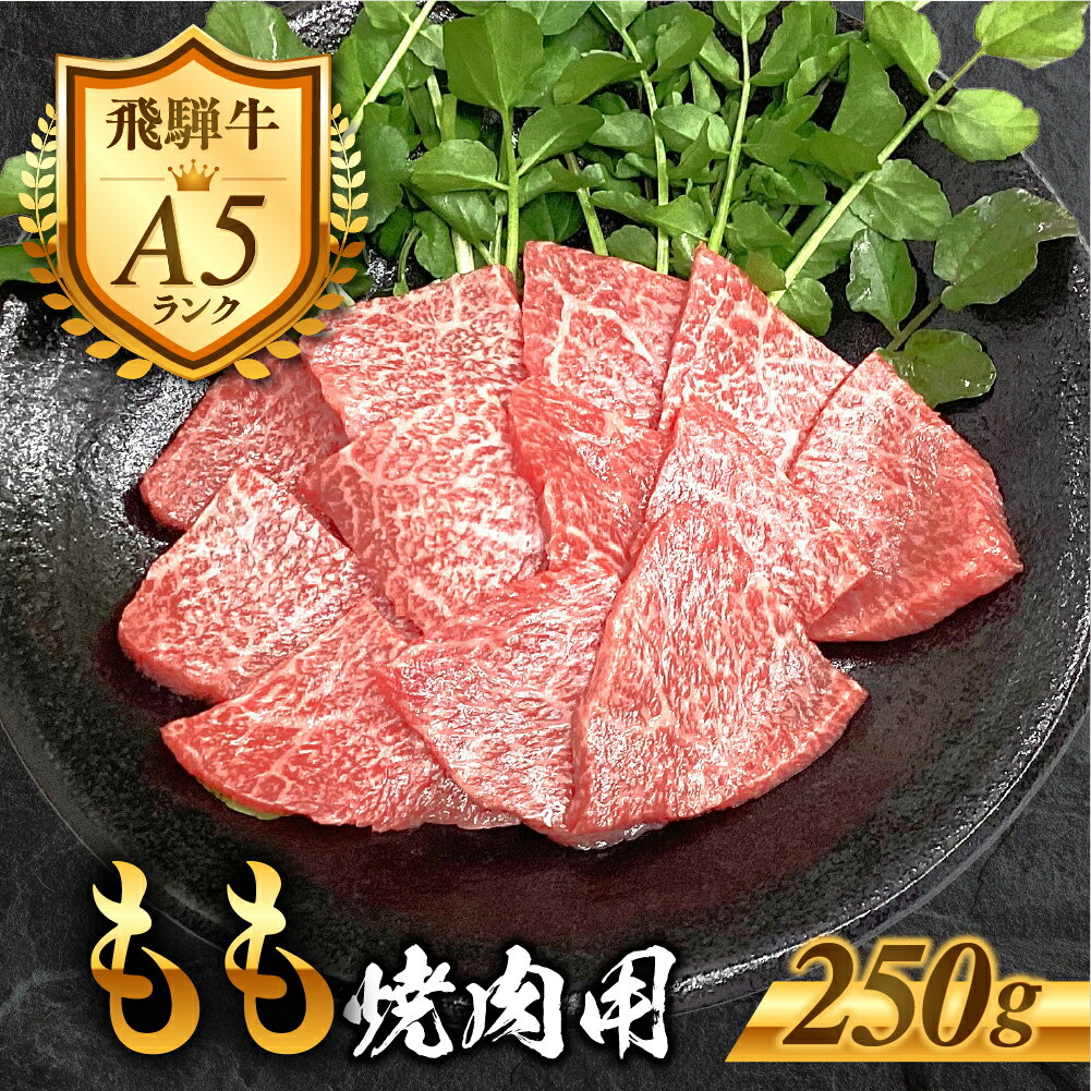 【ふるさと納税】［A5等級］飛騨牛 もも 焼き肉用 250g 赤身 モモ 焼き肉 ヘルシー 肉 牛肉 精肉 黒毛和牛 和牛 BBQ 飛騨牛 お肉 肉 焼肉 冷凍 明宝ハム 明宝特産物加工 10000円 1万円 [G0026]