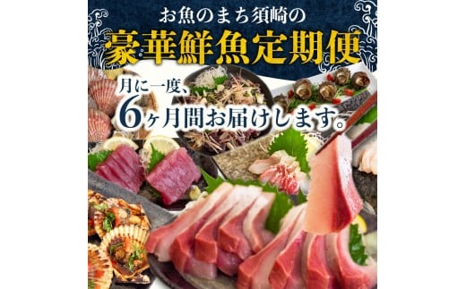 6ヶ月 定期便 刺身 鮮魚 6回 定期便 新鮮 国産 （ ブリ かつお たたき キハダ マグロ タイ 貝 セット）長太郎 サザエ  鰹 鯛 鮪 セット 冷凍 冷蔵 しゃぶ 鯛 お鍋 海鮮 年末 年始 