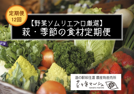 野菜ソムリエプロselect／萩・季節の食材セット　定期便お試し1回コース｜HG000601