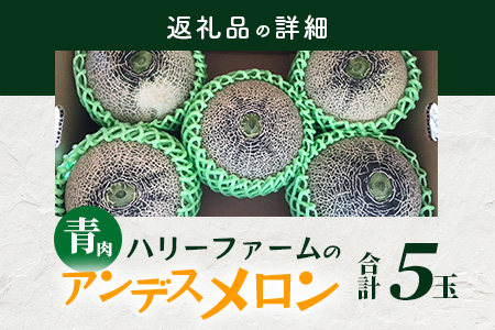 【2027年5月上旬～発送】アンデス メロン 青肉 5玉 (合計 約4.5～5kg) 熊本県 多良木町産 果物 フルーツ メロン 先行予約 5個 青肉 ミツバチ交配 期間限定 数量限定 先行予約 109-0501