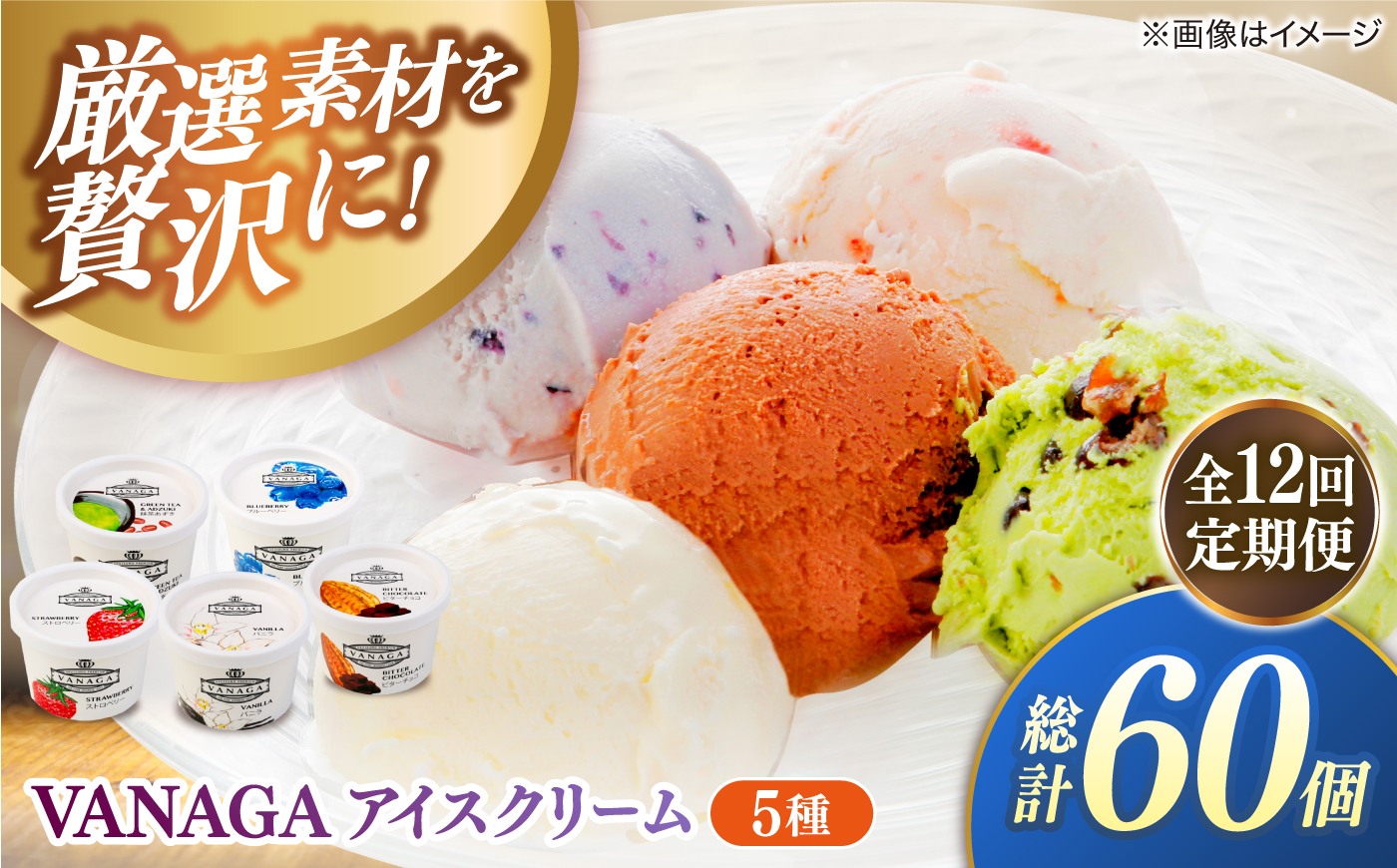【全12回定期便】ご褒美アイスにぴったり！VANAGA 5種類のアイスクリーム5個入り 島根県雲南市/木次乳業有限会社 [AIBH049]