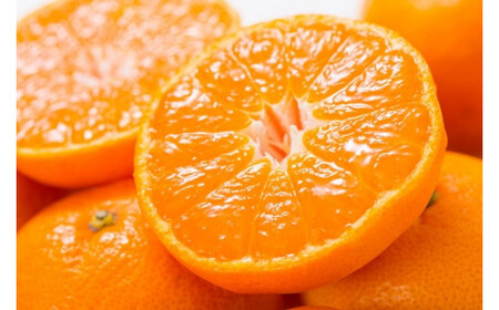 田村みかん 5kg 秀品【小玉サイズ】/紀州和歌山有田郡湯浅町田村地区産 ◆2024年11月下旬～2025年1月中旬頃に発送(お届け日指定不可)　紀伊国屋文左衛門本舗【ntb306A】