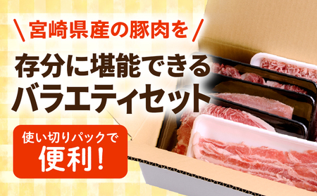 宮崎県産豚お楽しみセット合計2kg 豚肉 豚 ロース バラ モモ とんかつ 切り落とし ミンチ セット 詰め合わせ 豚肉セット 精肉セット 普段使い 使い勝手 小分け パック 冷凍 真空パック お弁当