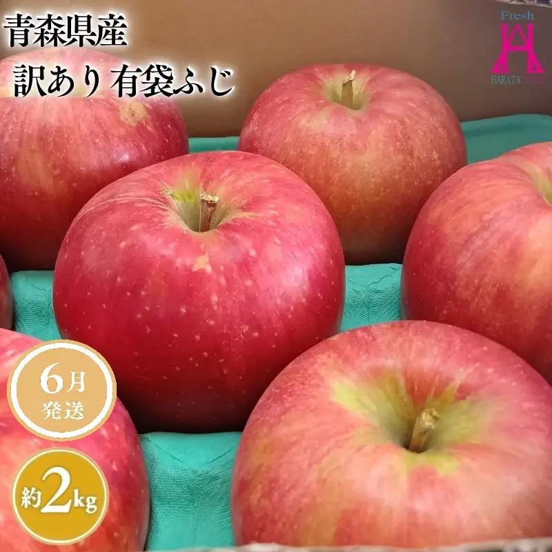 りんご 有袋ふじ 家庭用 約2kg りんご