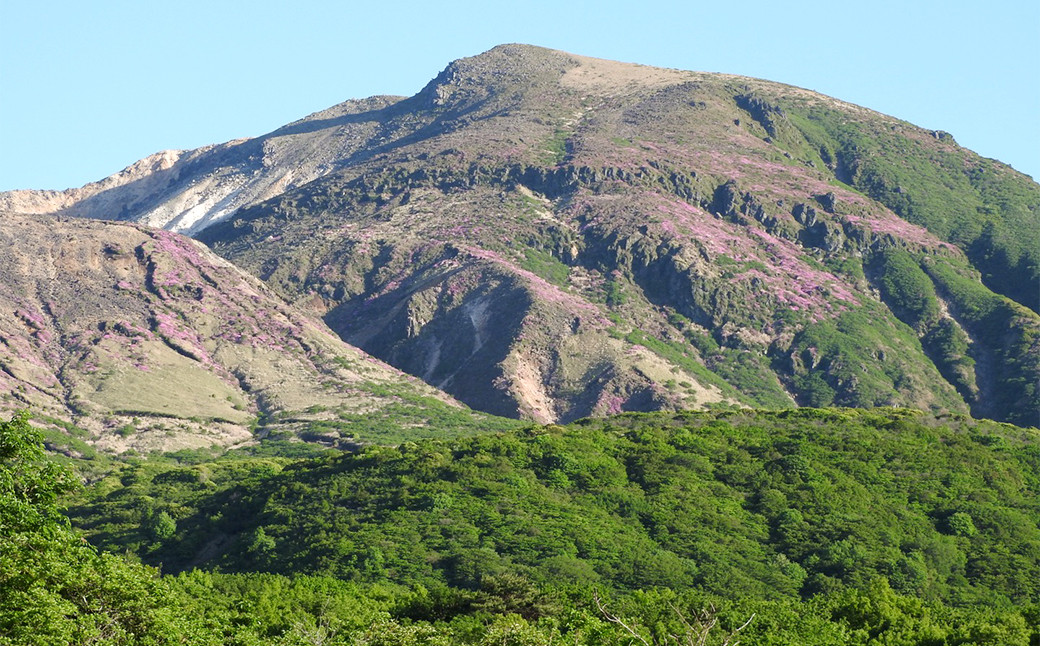 ガイドと楽しむタデ原湿原から指山 登山散策チケット