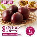 【ふるさと納税】【2025年先行予約】 農薬 化学肥料不使用 奄美 パッションフルーツ 1kg 12個前後 家庭用 果物 フルーツ トロピカルフルーツ 南国フルーツ 自家製発酵肥料 農家直送 家庭用 奄美大島産 照井農園 ふるさと納税 奄美市 おすすめ ランキング プレゼント ギフト