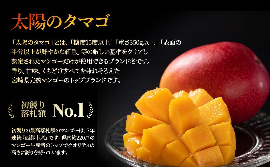 【3カ月定期便】先行予約　最高級ブランド『太陽のタマゴ』2L×2個×3回【糖度15度以上】宮崎県西都市産完熟マンゴー＜11-7＞宮崎マンゴー 果物 フルーツ 甘い