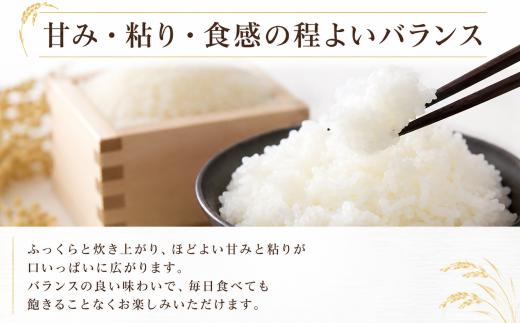 【令和7年産】先行受付 福岡県産 ヒノヒカリ 4kg  単品 ひのひかり 福岡産 福岡 ふるさと納税 米 お米 江口農産 柳川市産 白米 米 お米 こめ コメ ライス ご飯 ごはん 美味しい 贈り物 