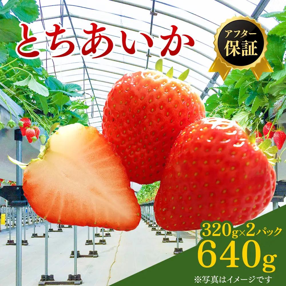 【先行予約】いちご とちあいか 15粒入り320g 2パック（1月発送）  ※2027年1月～発送