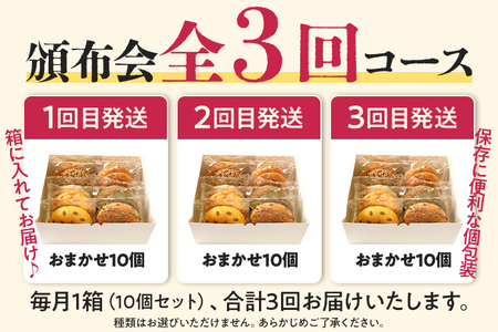 ［定期便］ベーグルおまかせ10個セット（月1回／全3回）