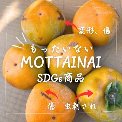 ふるさと納税 天理市 訳あり【令和8年10月下旬より順次発送】たねなし柿L〜2Lサイズ(16〜18個入り)