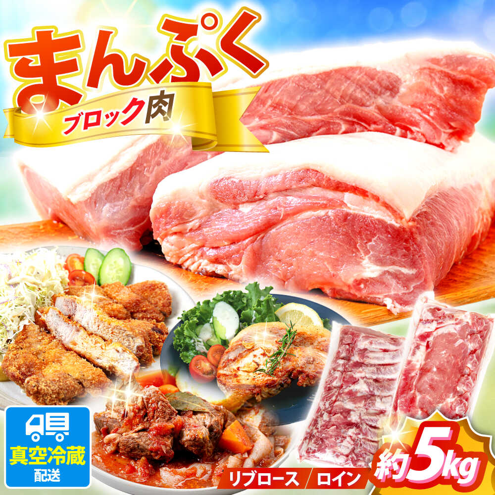 【ふるさと納税】真空冷蔵 豚ロースブロック 約5kg（リブロースとロイン 2種セット）【日本フードパッカー株式会社】[OCJ001] / 部位食べ比べ 冷蔵 作り置き 冷凍ストック 冷凍保存 大家族 家庭用 ロースカツ リブ とんかつ 真空パック 豚ブロック