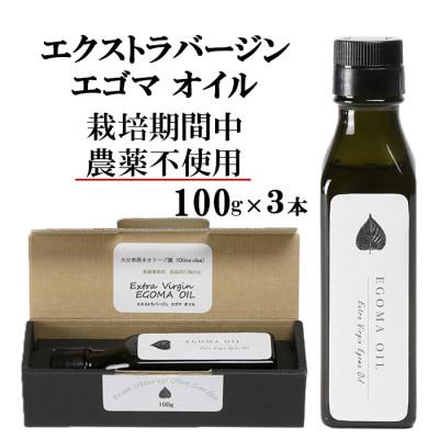 ふるさと納税 杵築市 エゴマオイル(EGOMA OIL) 100g×3本セット 低温直圧搾油法 大分県産