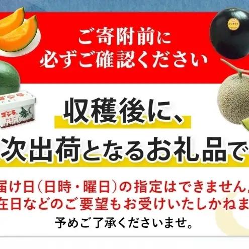 メロン 青肉 月雫 優品 北海道産 メロン【4〜6玉 計約8kg】【先行予約】