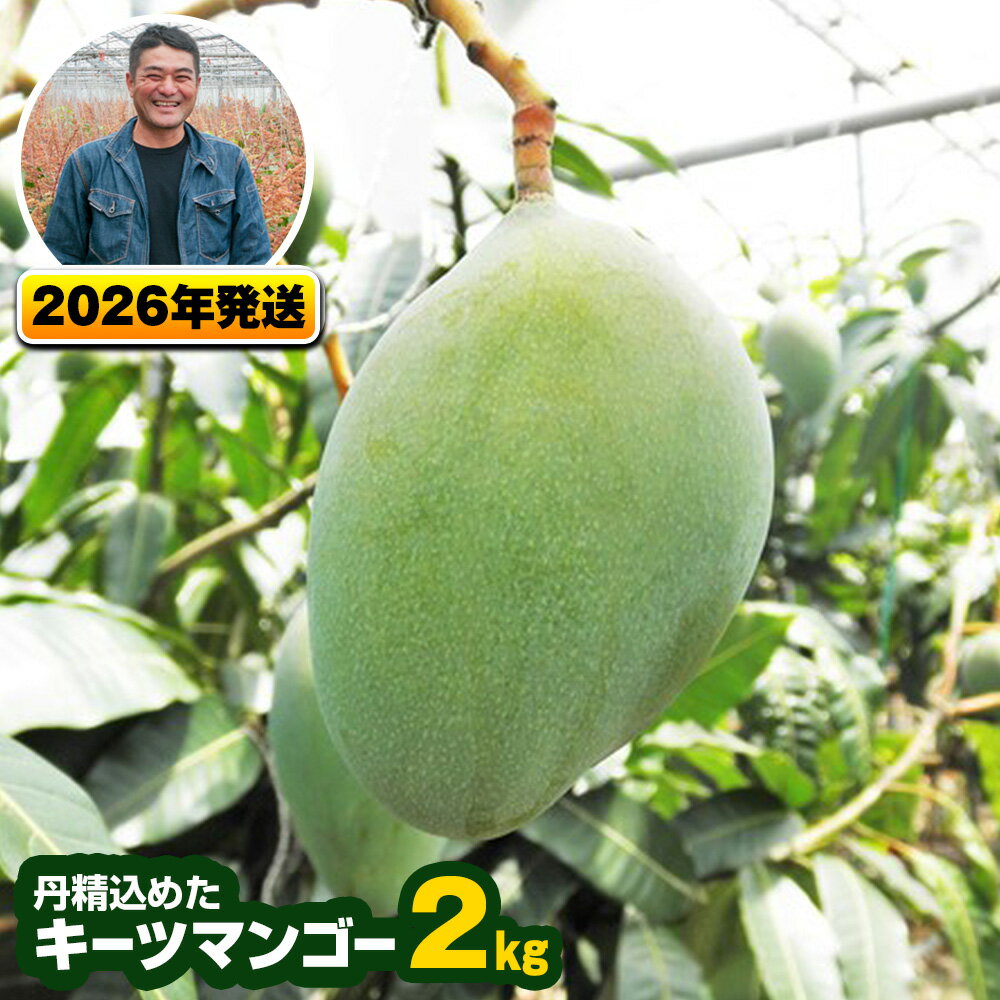 【ふるさと納税】【2026年発送】南風原農園　丹精込めた「キーツマンゴー」2kg