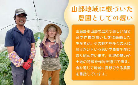 【定期便2ヵ月】糖度15度以上 赤肉メロン 富良野産 特秀品メロン 2kg×1玉 1箱×全2回｜北海道富良野市 7～8月発送 贈答用 ギフト プレゼント メロン 赤肉メロン 富良野メロン 果物 フルー