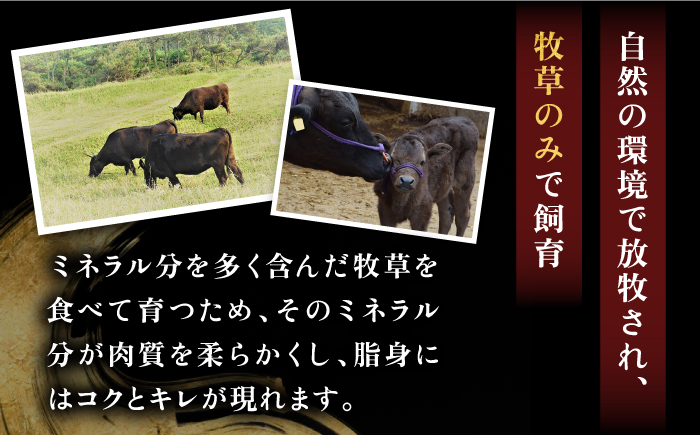 【全2回定期便】特選壱岐牛ロースうす切り 600g [JDD040]