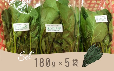 令和8年産 ほうれん草 180g×5袋 ほうれん草 ほうれんそう
