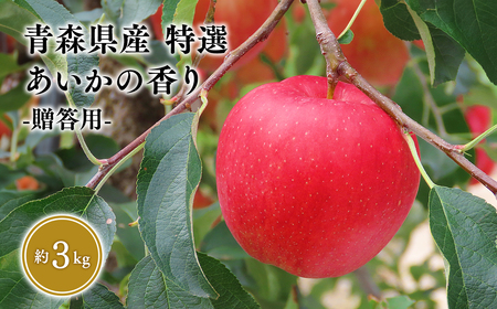 【レビューキャンペーン】１２月発送　特選　甚八りんごあいかの香り３kg　【青森県 平川市 マルジンサンアップル】 [hi-0058-064-12]