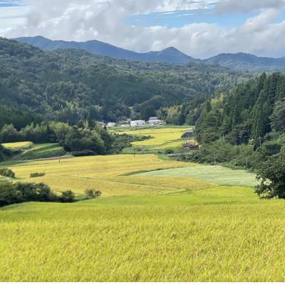 ふるさと納税 松江市 【毎月定期便】プレミアム仁多米(なおらい米)真空パック 2kg×2袋(松江市)全6回 |  | 03