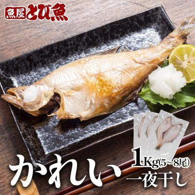 ふるさと納税 若狭町 かれい一夜干し 1Kg(5〜8尾)