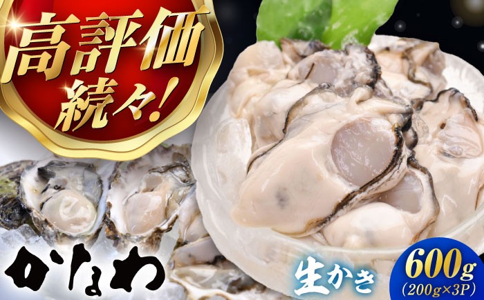 
                  【生牡蠣】 かなわの生牡蠣 むき身200g×3パック 計600g 江田島市／株式会社かなわ [XBP002]｜生牡蠣 牡蠣 生食 むき身 かき カキ 生牡蠣 広島牡蠣 オイスター 冬かき 魚介類 魚介 貝類 海鮮 広島県産 国産 産地直送 贈答 ギフト 特産品
                