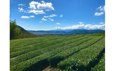 009-34お茶を使ったクラフトビール「HANOCHA（はのちゃ）」煎茶ゴールデンエール（330ml×3本）
