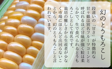 【先行予約】数量限定！リピーター続出！！とうもろこし★甘々娘★  おすすめ コーン トウモロコシ かんかんむすめ 採れたて 新鮮 野菜 健康 ヘルシー 人気 厳選 袋井市 フルーツコーン 静岡県