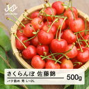 【ふるさと納税】 ≪先行予約≫ 2025年 山形県産 さくらんぼ 佐藤錦 バラ詰め 500g 秀 L〜2L混合 2025年6月中旬頃から順次発送 サクランボ フルーツ くだもの 果物 ot-snsbx500