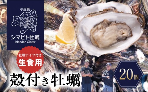 
                  牡蠣 生食用 殻付き牡蠣 シマビト牡蠣 嘉平水産 小豆島産 瀬戸内 20個 60g～80g 牡蠣むきナイフ付 紫外線殺菌 シングルシード 三倍体 養殖 直送 冷蔵 ブランド牡蠣 生牡蠣 焼き牡蠣 カキフライ 酒蒸し 鍋 BBQ 真牡蠣 殻付 カキ かき 海鮮 香川県 土庄町
                