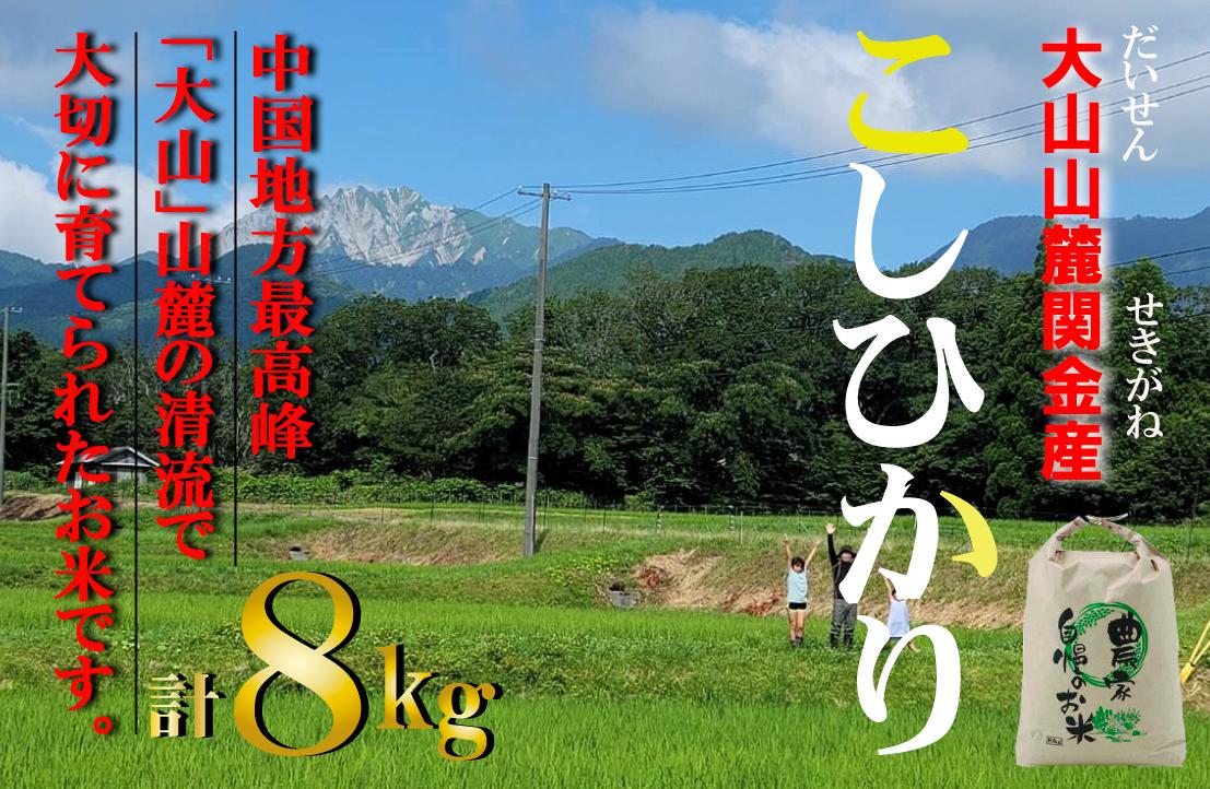 
【数量限定】大山山麓関金産 コシヒカリ 8kg (5kg×1袋、3kg×1袋) 令和6年産 新米 お米 米 こめ コメ 白米 ブランド おいしい 健康 産地直送 コシヒカリ
