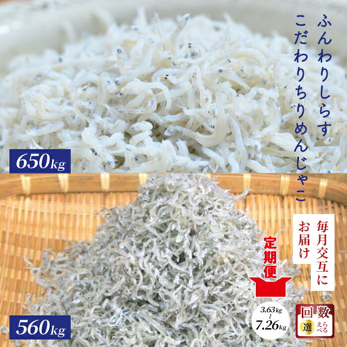【ふるさと納税】【選べるお届け回数】 土佐黒潮 ふんわり しらす 650g こだわり の ちりめんじゃこ 560g 【1カ月に1回交互にお届け】 定期便 6回 12回 冷凍 小分け 便利 惣菜 海の幸 じゃこ 無添加 無着色 国産 魚介 海産物 シーフード 高知 四万十 しまんと 送料無料