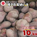 【ふるさと納税】 【 訳あり 】 種子島 安納いも ＼ 大容量 Mサイズ 生いも 10kg ／ 中園ファーム ふるさと納税 さつまいも 生芋 ふるさと納税 焼き芋 ホクホク ねっとり 蜜が出るほど 甘い 安納芋 芋 ふるさと 人気 ランキング