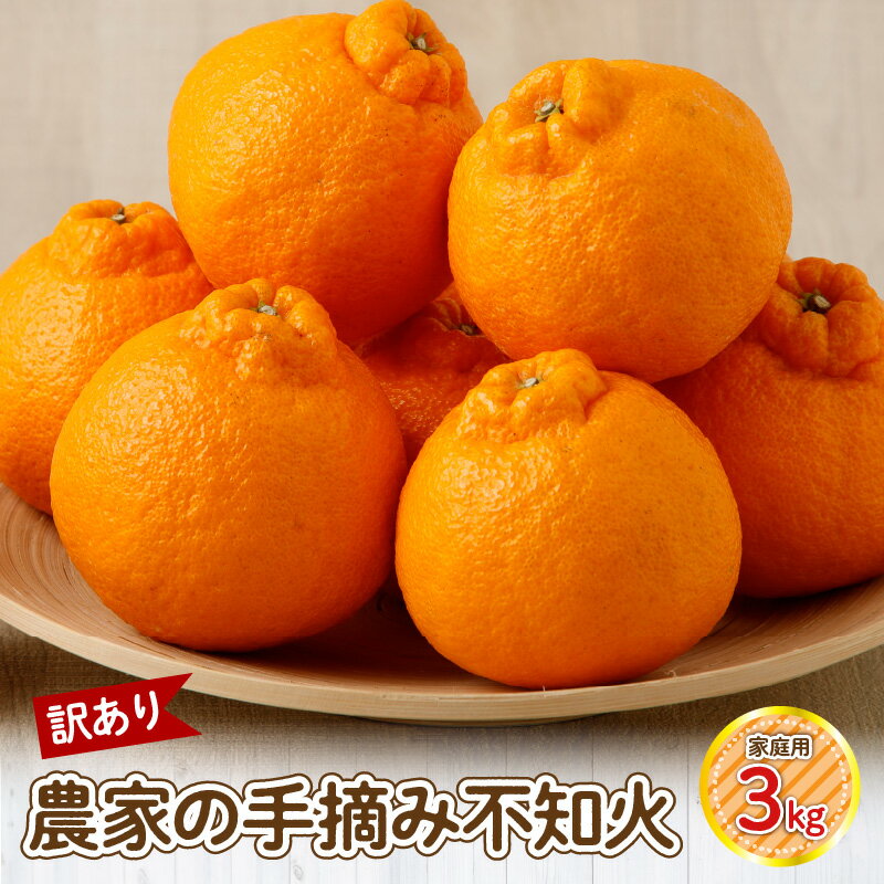 【ふるさと納税】【訳あり】農家の手摘み　不知火　家庭用　3kg