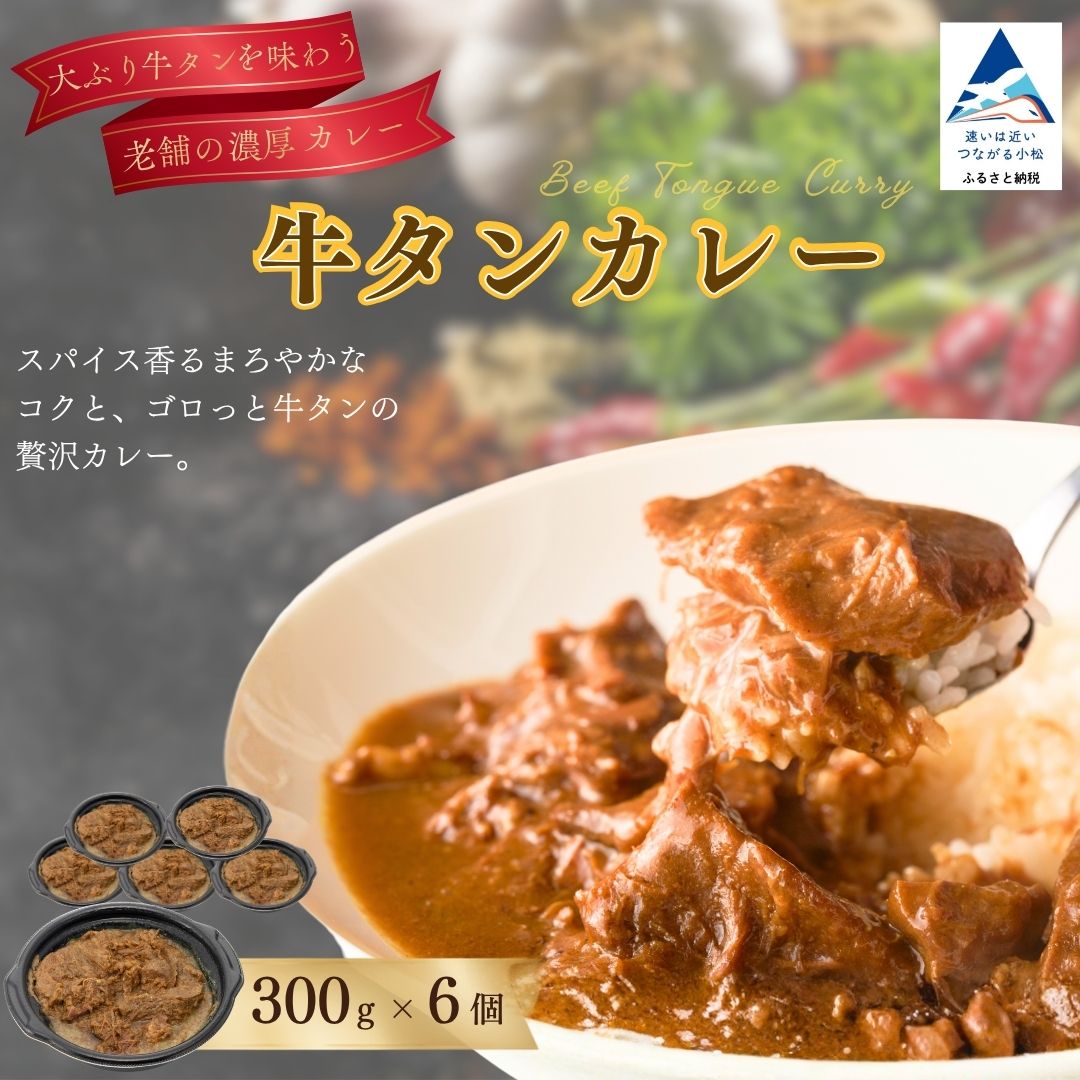 【ふるさと納税】 牛タン カレー 6個 ライス ごはん 焼肉店 老舗 ゴロゴロ 肉 大ぶり牛タン じっくり煮込み 本格カレー 石川県 小松市 gg001n00 【鉄板焼肉 しんらえん】